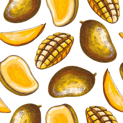 Ripe mango background. Tropical fruit seamless pattern in color. Hand drawn vector illustration. Exotic plant with fruit sketches. Summer food design, juice packaging, wrapping paper